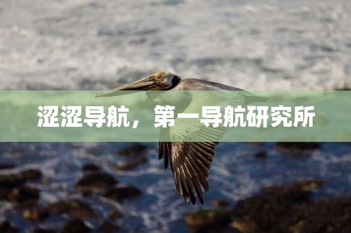 涩涩导航，第一导航研究所