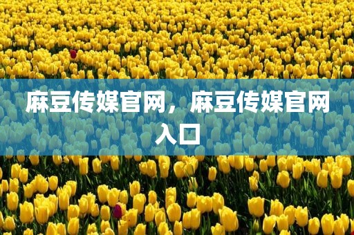 麻豆传媒官网，麻豆传媒官网入囗