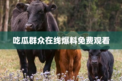吃瓜群众在线爆料免费观看