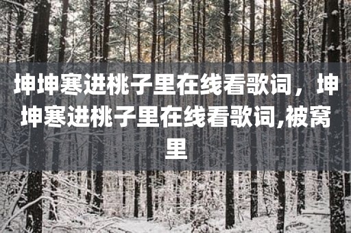 坤坤寒进桃子里在线看歌词，坤坤寒进桃子里在线看歌词,被窝里