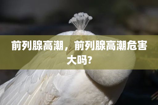 前列腺高潮，前列腺高潮危害大吗?