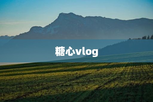 糖心vlog