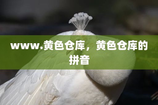 www.黄色仓库，黄色仓库的拼音