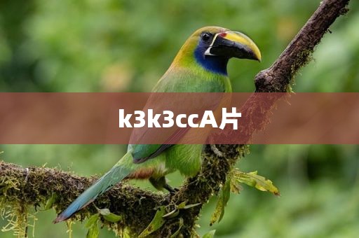 k3k3ccA片