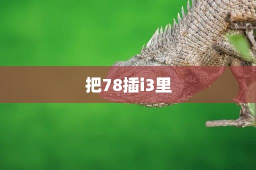 把78插i3里