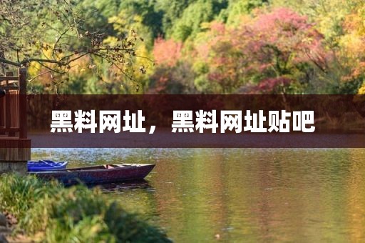 黑料网址，黑料网址贴吧