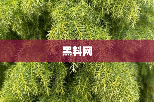 黑料网