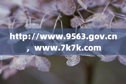 http://www.9563.gov.cn，www.7k7k.com
