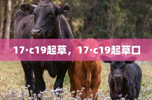 17·c19起草，17·c19起草口