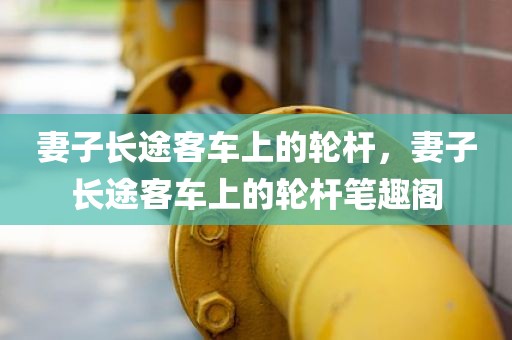 妻子长途客车上的轮杆，妻子长途客车上的轮杆笔趣阁