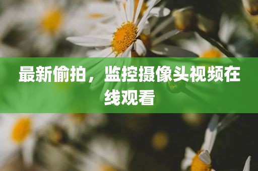 最新偷拍，监控摄像头视频在线观看