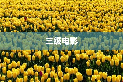 三级电影