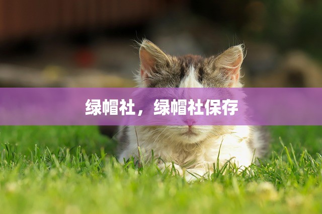 绿帽社，绿帽社保存