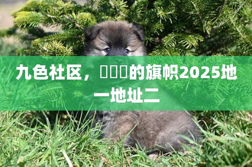 九色社区，逹葢薾的旗帜2025地一地址二