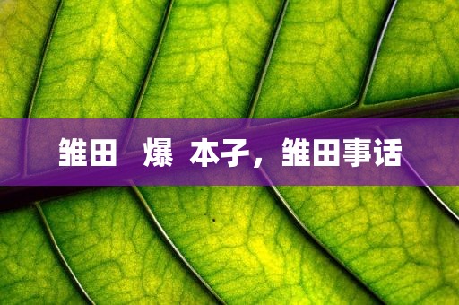 雏田   爆  本孑，雏田事话