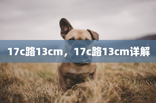 17c路13cm，17c路13cm详解
