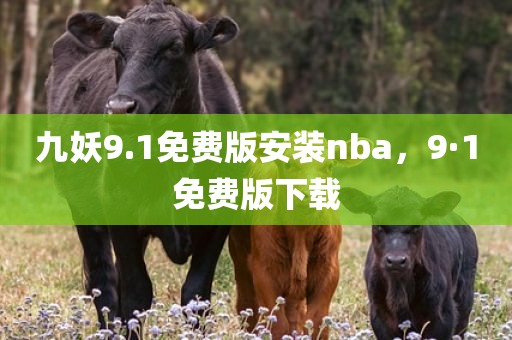 九妖9.1免费版安装nba，9·1免费版下载