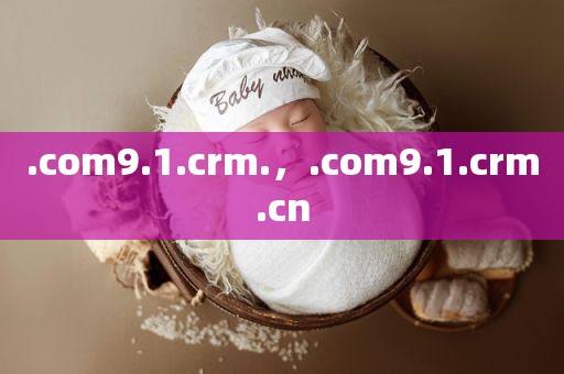 .com9.1.crm.，.com9.1.crm.cn
