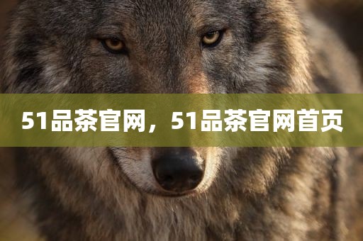 51品茶官网，51品茶官网首页