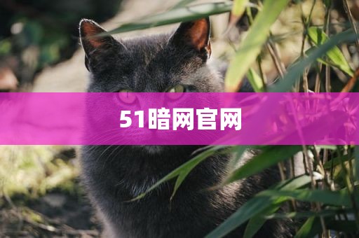 51暗网官网