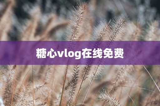 糖心vlog在线免费