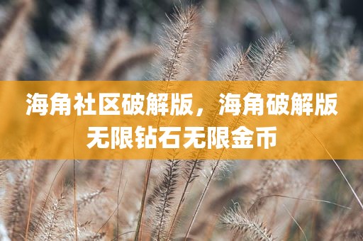 海角社区破解版，海角破解版无限钻石无限金币