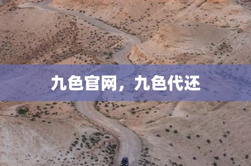 九色官网，九色代还