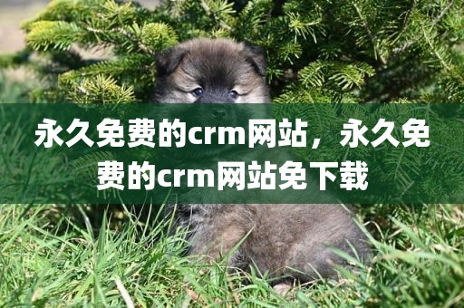 永久免费的crm网站，永久免费的crm网站免下载
