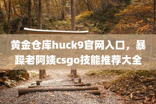 黄金仓库huck9官网入口，暴躁老阿姨csgo技能推荐大全
