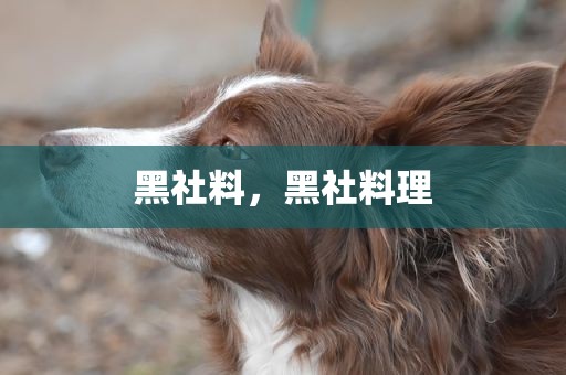 黑社料，黑社料理