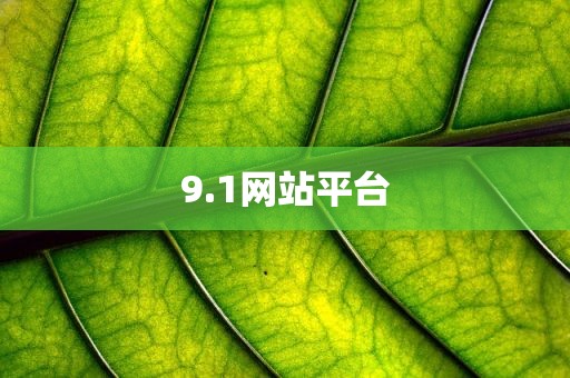 9.1网站平台