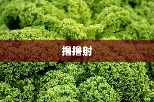 撸撸射
