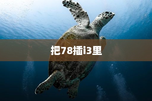 把78插i3里