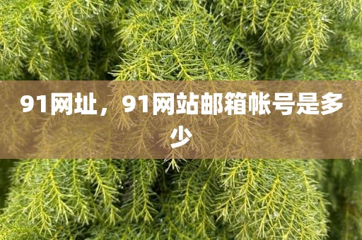 91网址，91网站邮箱帐号是多少