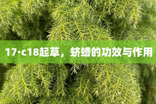 17·c18起草，蛴螬的功效与作用