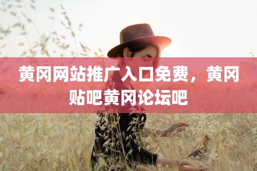 黄冈网站推广入口免费，黄冈贴吧黄冈论坛吧