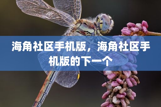 海角社区手机版，海角社区手机版的下一个