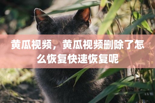 黄瓜视频，黄瓜视频删除了怎么恢复快速恢复呢