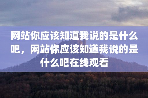 网站你应该知道我说的是什么吧，网站你应该知道我说的是什么吧在线观看