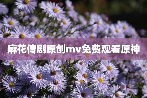 麻花传剧原创mv免费观看原神
