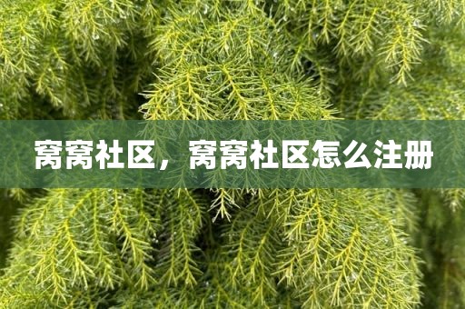窝窝社区，窝窝社区怎么注册
