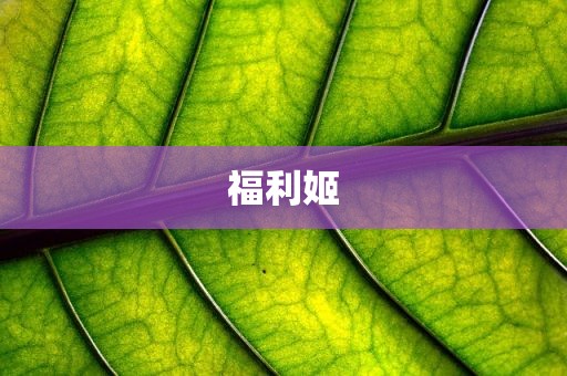 福利姬