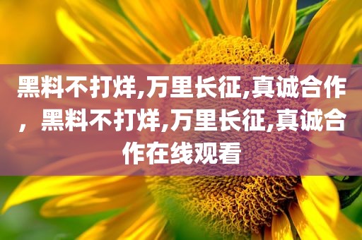 黑料不打烊,万里长征,真诚合作，黑料不打烊,万里长征,真诚合作在线观看