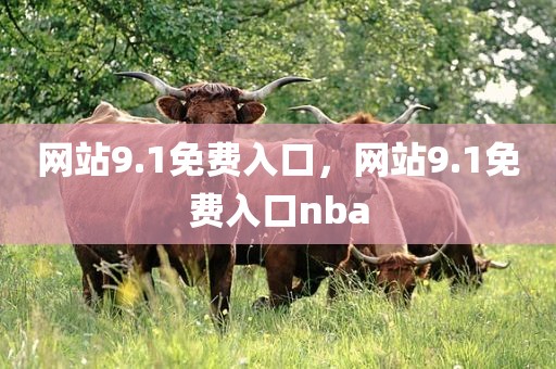 网站9.1免费入口，网站9.1免费入口nba