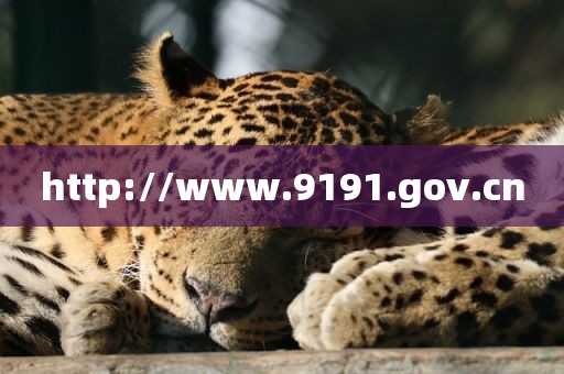 http://www.9191.gov.cn