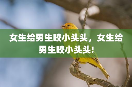 女生给男生咬小头头，女生给男生咬小头头!