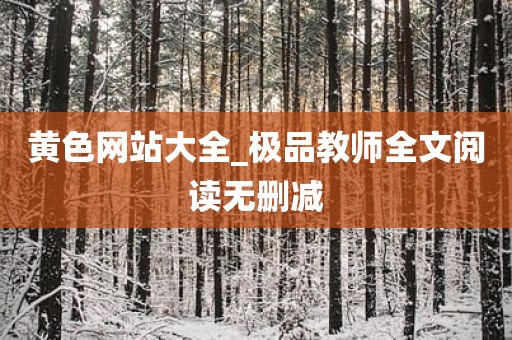 黄色网站大全_极品教师全文阅读无删减