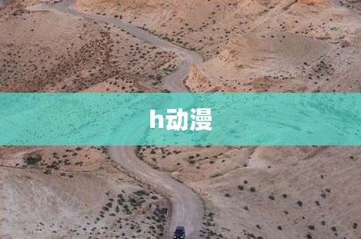 h动漫