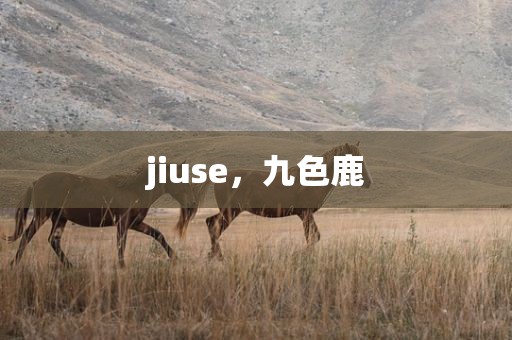 jiuse，九色鹿