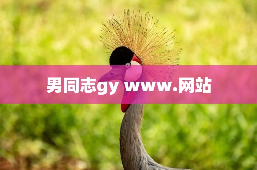 男同志gy www.网站